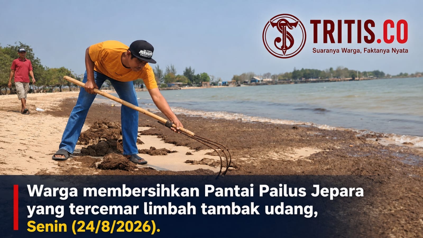 Pantai Pailus Diduga Jadi Muara Limbah Tambak Udang, Warga Keluhkan Bau Menyengat dan Pengunjung Mandi Takut Gatal