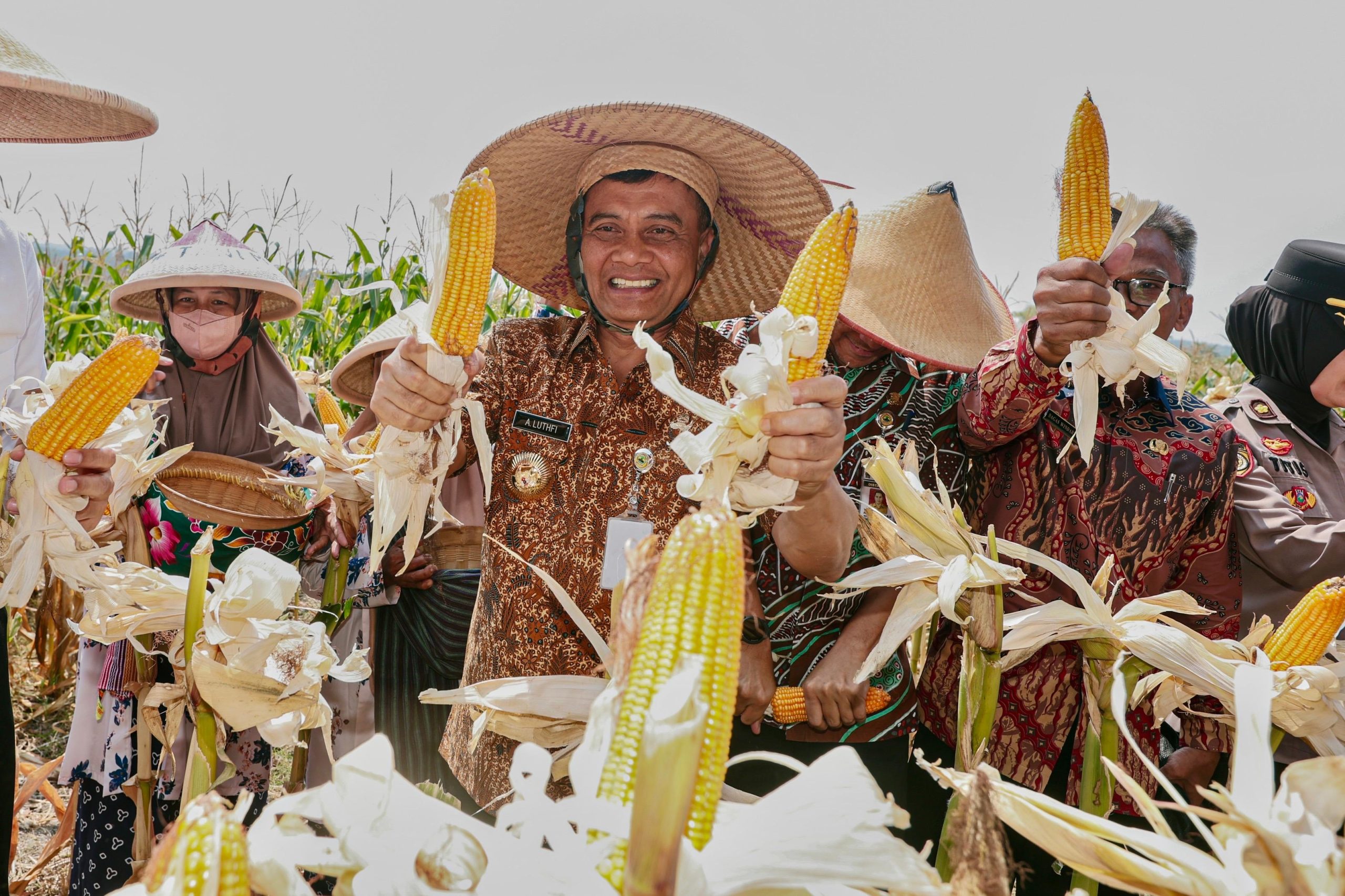 Produksi Jagung Jateng Sudah Capai 2,68 juta ton, Kukuhkan Sebagai Lumbung Pangan Nasional